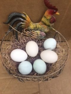 Assorted Bantam Hatching Eggs