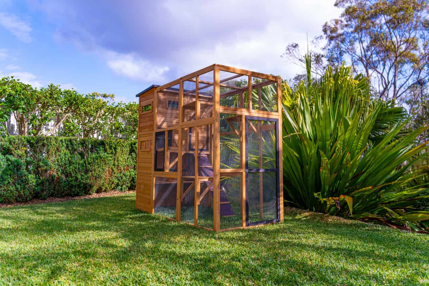 Heidi Cat House - Image 13