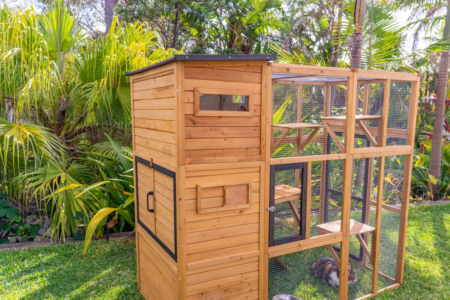 Heidi Cat House - Image 14